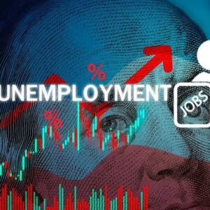 UNEMPLOYMENT FRAUD GUIDE AND THE ESSENTIAL TIPS